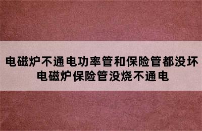 电磁炉不通电功率管和保险管都没坏 电磁炉保险管没烧不通电